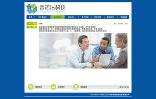 信息咨询服务类网站设计 优化用户体验与业务转化